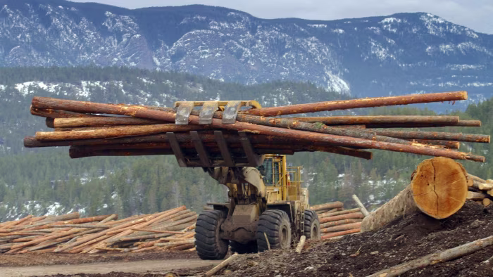 March 2025 Market Report