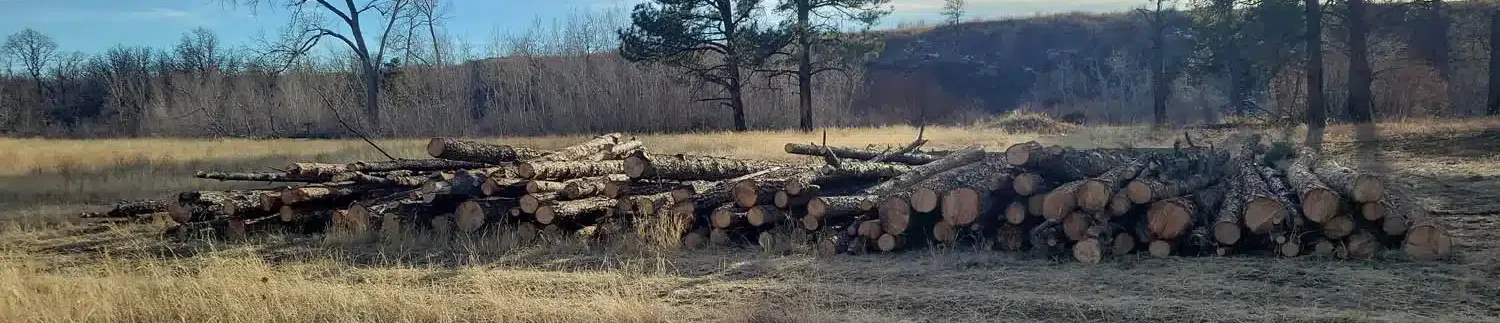 Colorado Forestry and Earthworks